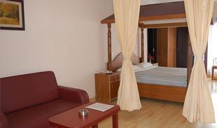 Apple Valley_Honey Moon Suite